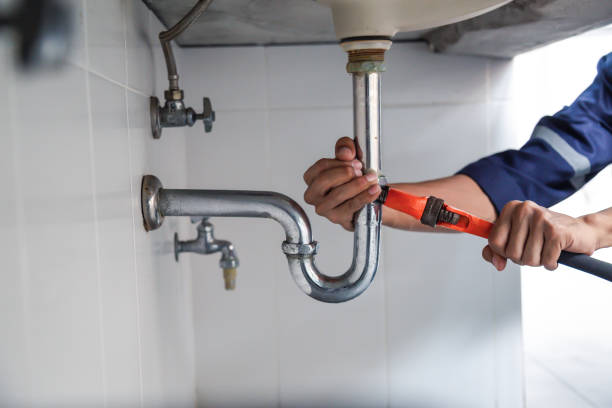 Best Residential Plumbing Services  in Flint, MI